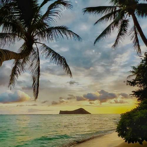  میدونی همیشه داستان همینه ولی شبای که تو نیستی شب تر میشه